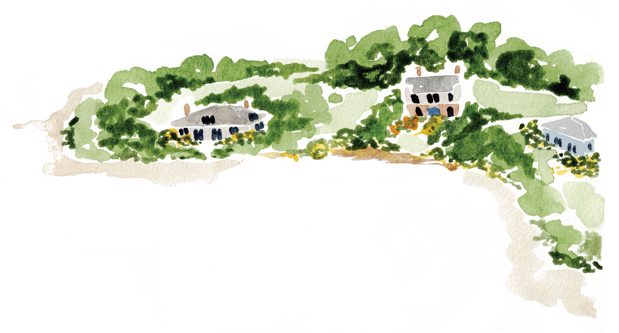 Watercolor illustration of House Island with its cottages among the trees
