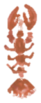 Watercolor lobster